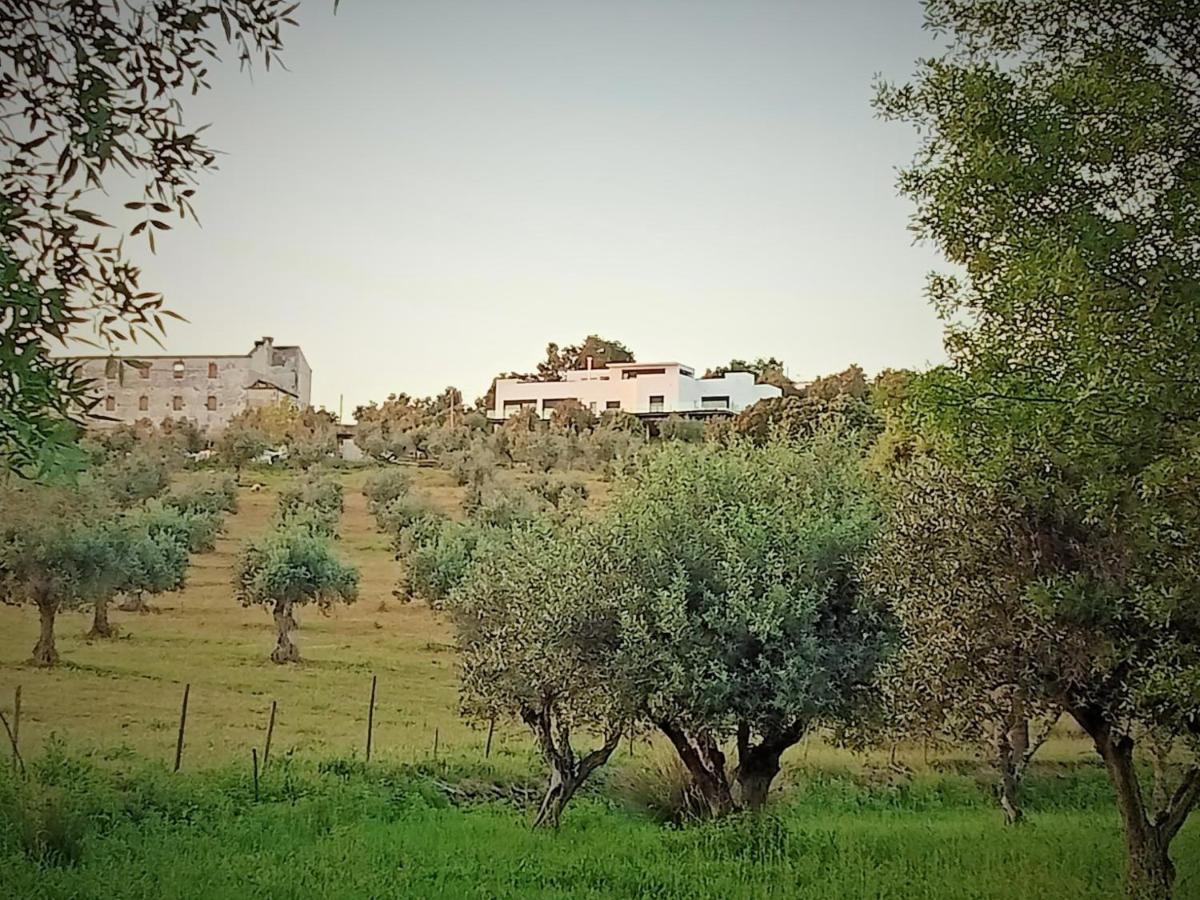 Retiro Da Cegonha Villa Crato Dış mekan fotoğraf