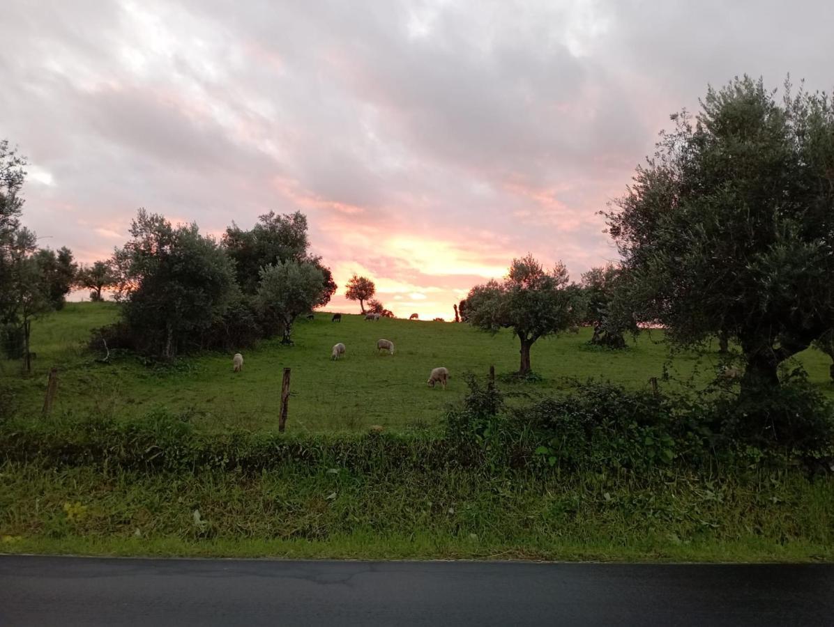 Retiro Da Cegonha Villa Crato Dış mekan fotoğraf