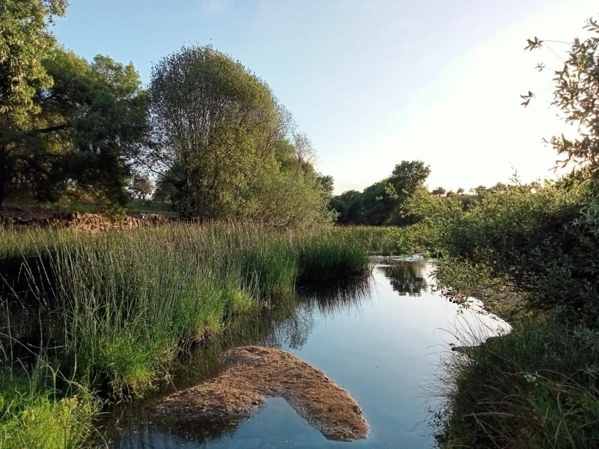 Retiro Da Cegonha Villa Crato Dış mekan fotoğraf